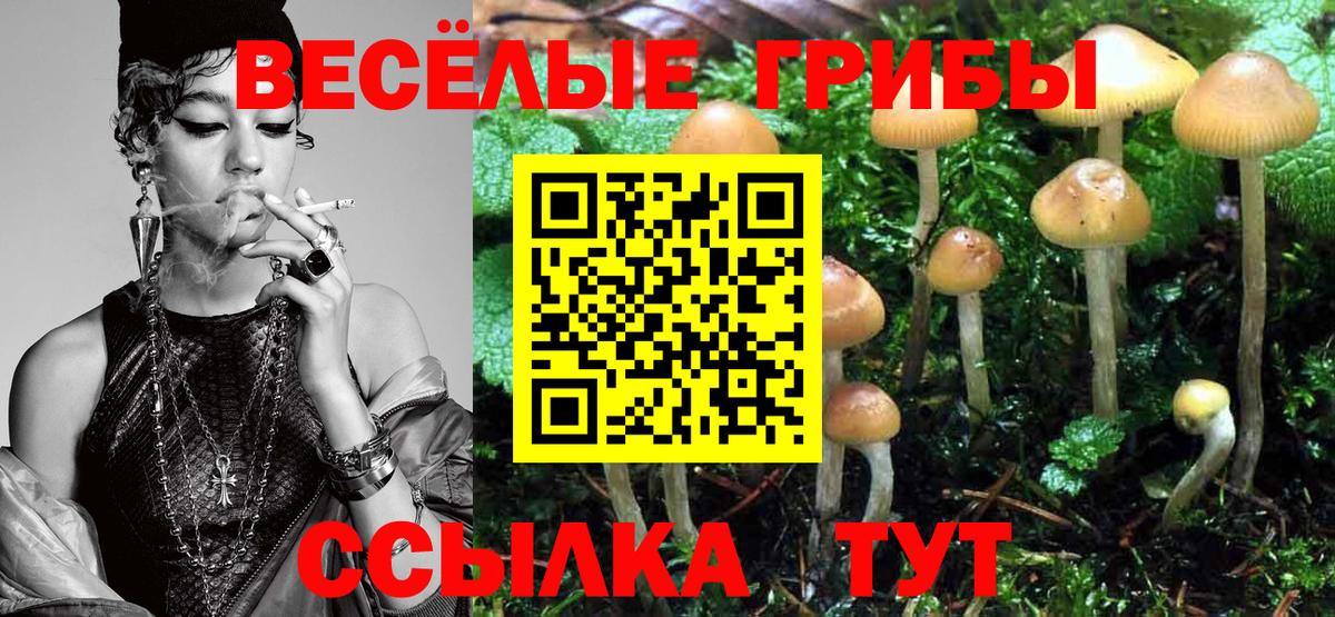Псилоцибиновые грибы мухоморы  Псилоцибиновые грибы Psilocybine cubensis  Вышний Волочёк  Вход с VPN 